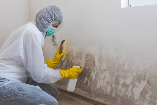 Best Crawl Space Mold Removal  in Eglin Af, FL