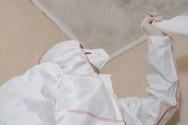 Best Residential Mold Removal  in Eglin Af, FL